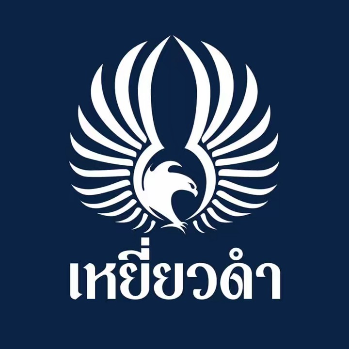 เหยี่ยวดำ