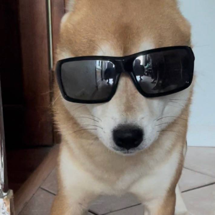 Pixel_theShiba