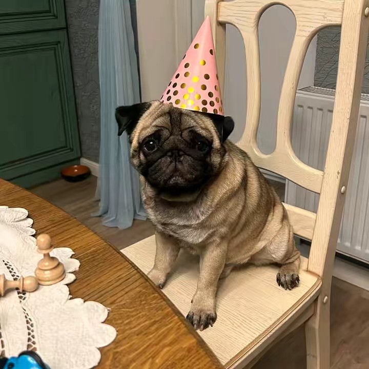 Бешеная Деда Шлёшка