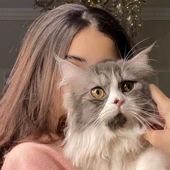 👸Angel🧚‍queen👸