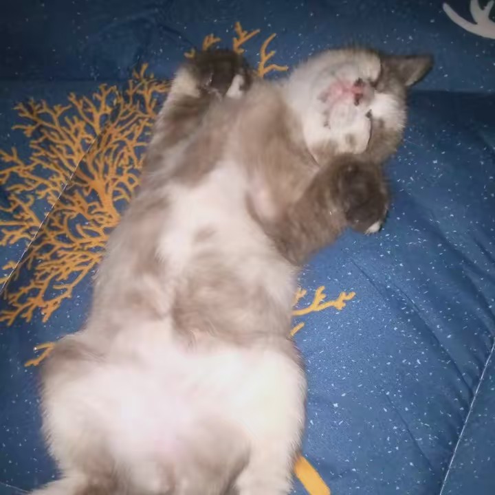 รวมสินค้าราคาหลัก10