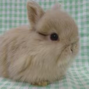 46歳家出しました。