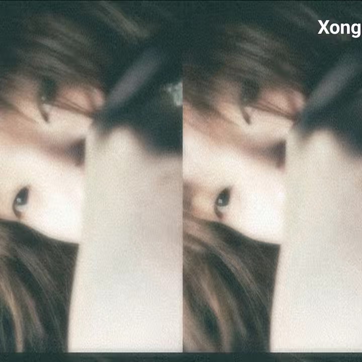 从来没有互相理解过.