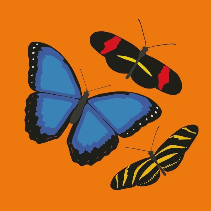 Tropical Butterflies U.K.