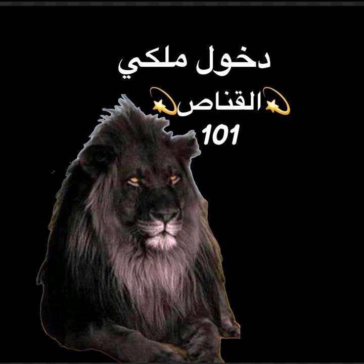 💫 القناص 💫