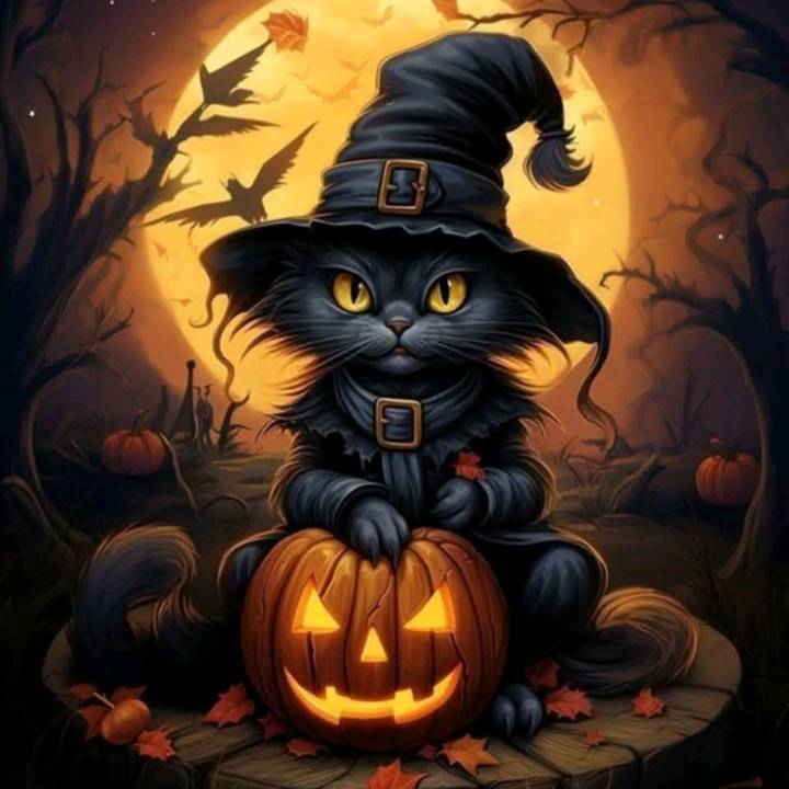 Ab💙💙💙always & forever