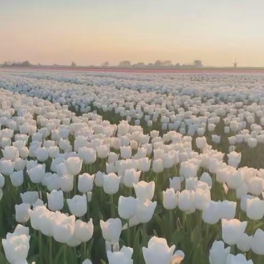 preppy_acc💗🤍🫶🏻