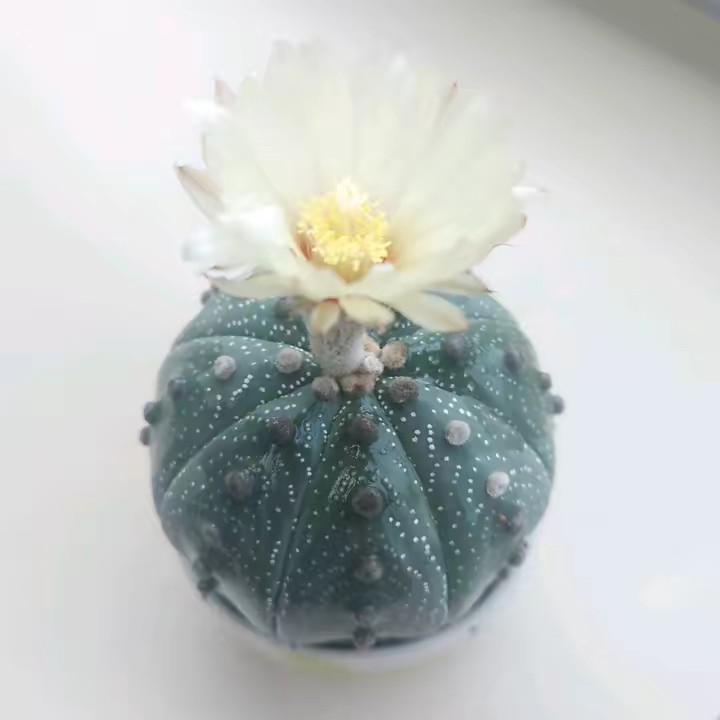 คนกันเอง