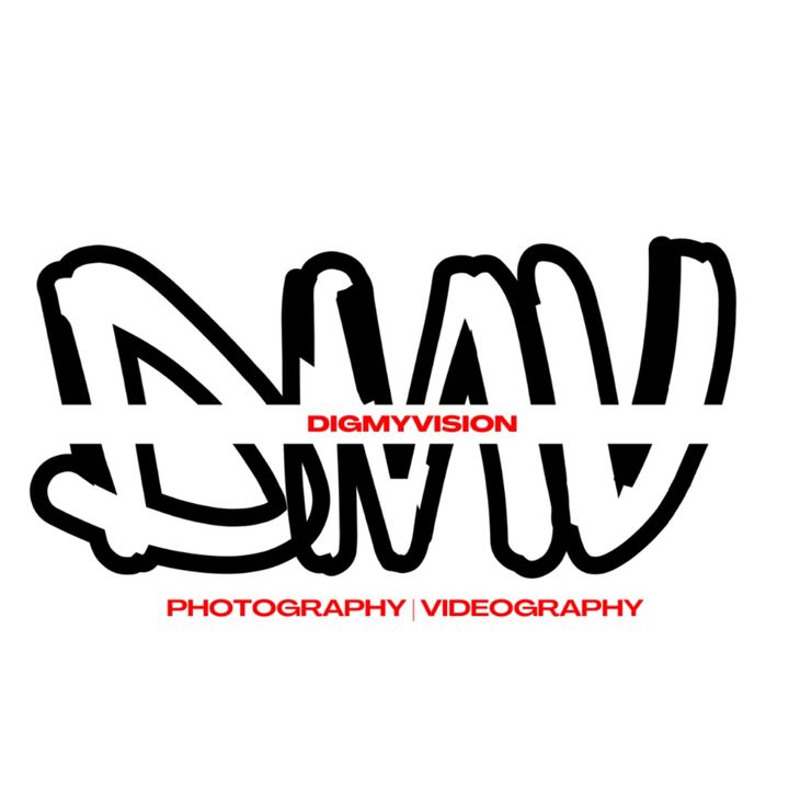 DigMyVision