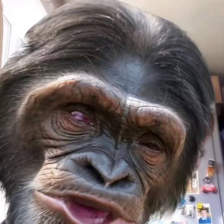 🚬🚬HBD☠️420🚬🚬