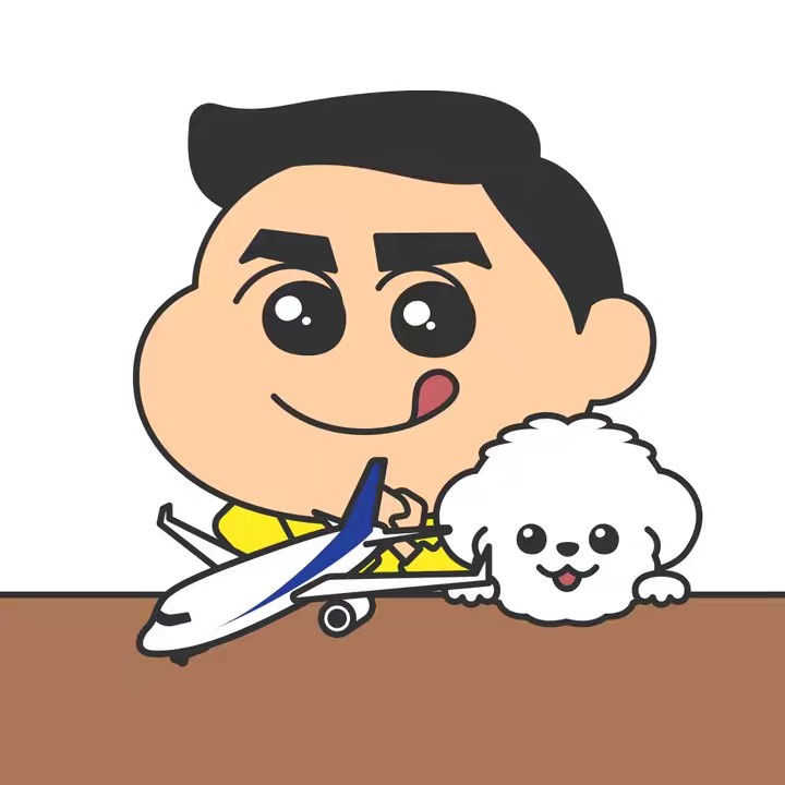 正直レビュー ✈️