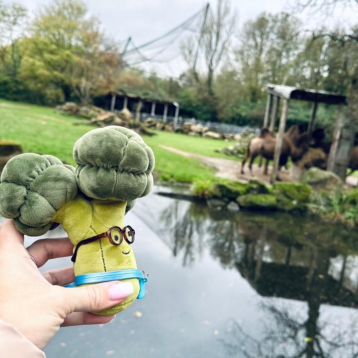 jellycatlover🩷🌸