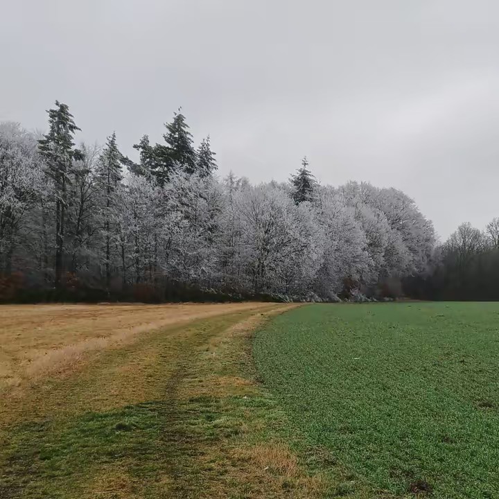 ali 🇵🇰❤️🇪🇸❤️🇩🇪