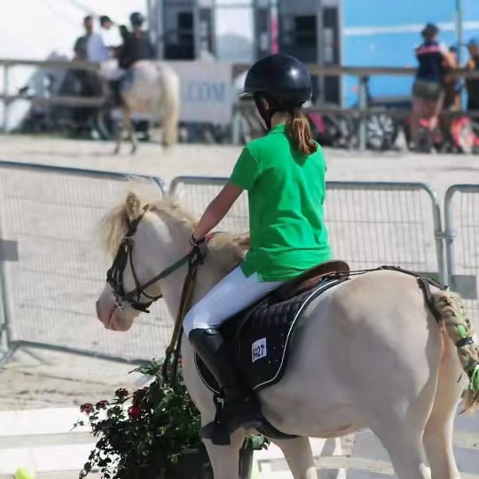 𝗟𝗲 𝗽𝗼𝗻𝗲𝘆 𝗮𝗹𝗯𝗶𝗻𝗼𝘀