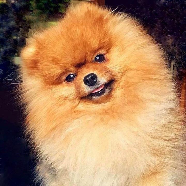 May from Ukraine🇺🇦