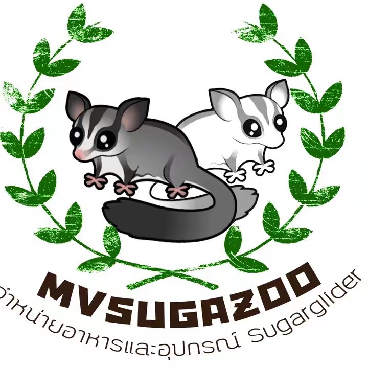 mvsugazoo