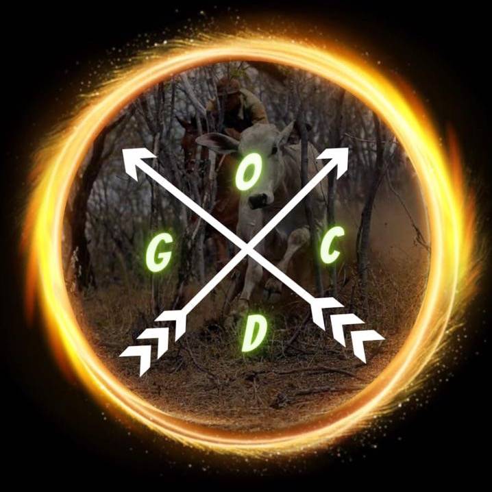 OS CACETEIRO DO GADO