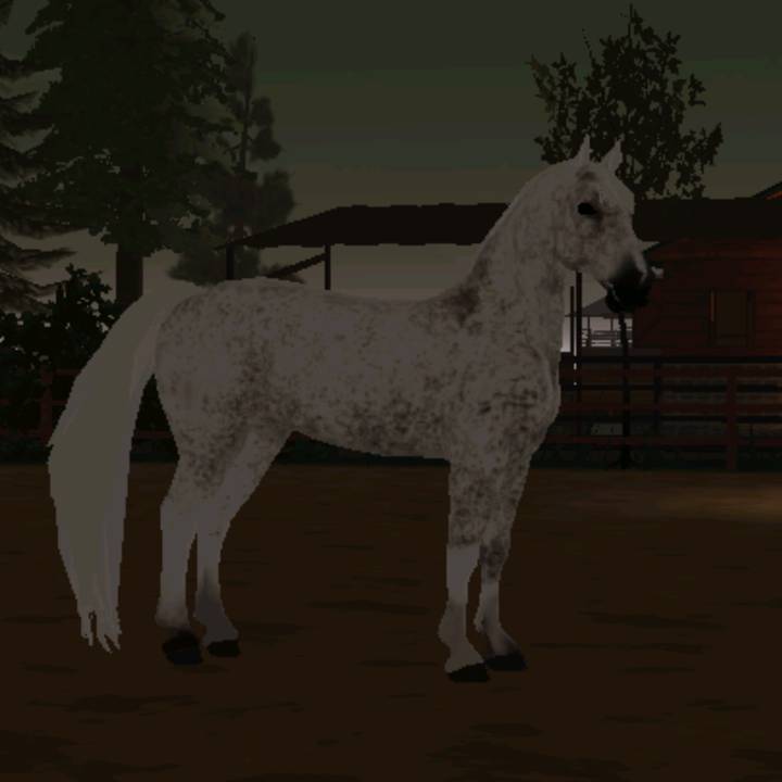 𝐋 𝐎 𝐋 𝐀 ꨄ