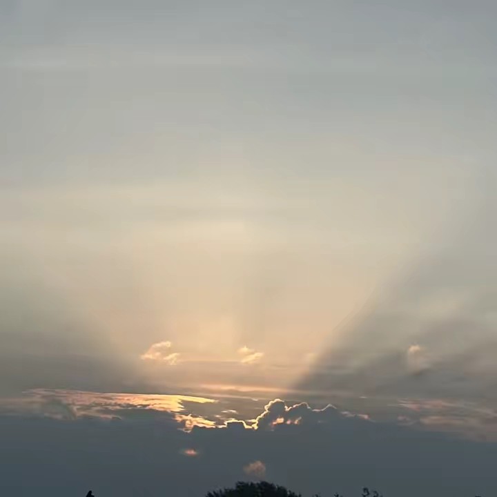 “WW- world watcher”