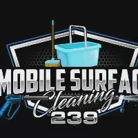 Mobile Surface Cleaning 239