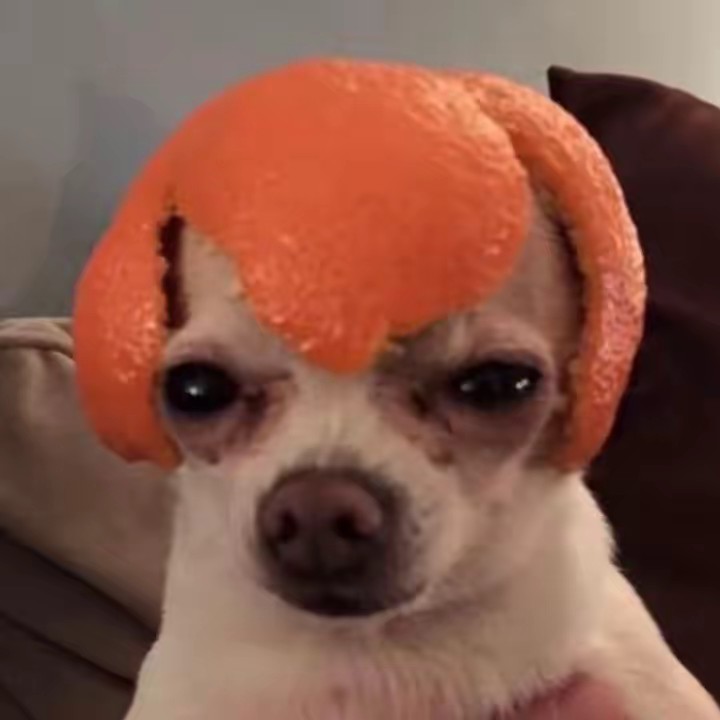 Newtiepatootie