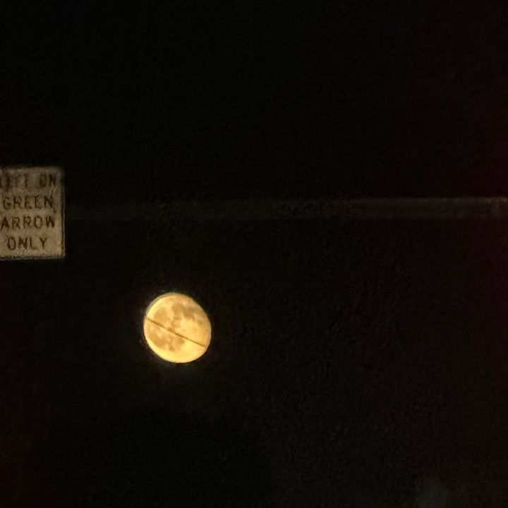 𝐉🧍🏼‍♀️