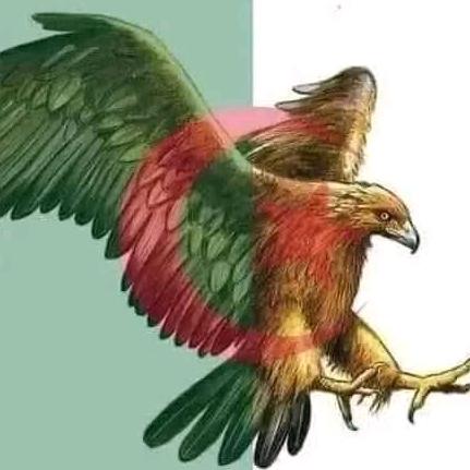 user23155004767167 sd ra zr