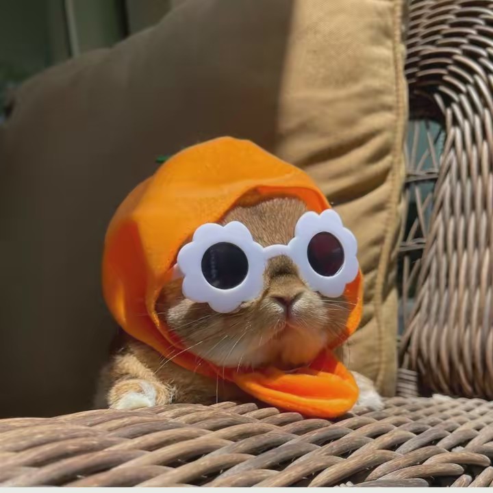 Bunnydayoff