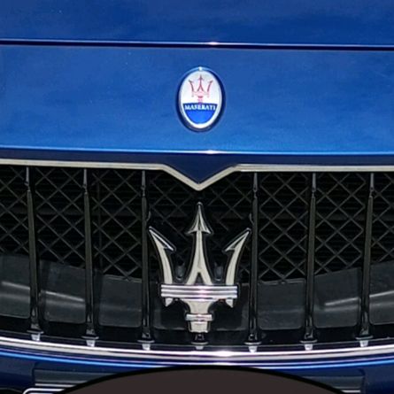 DEAD HEART 🫴🏼🖤