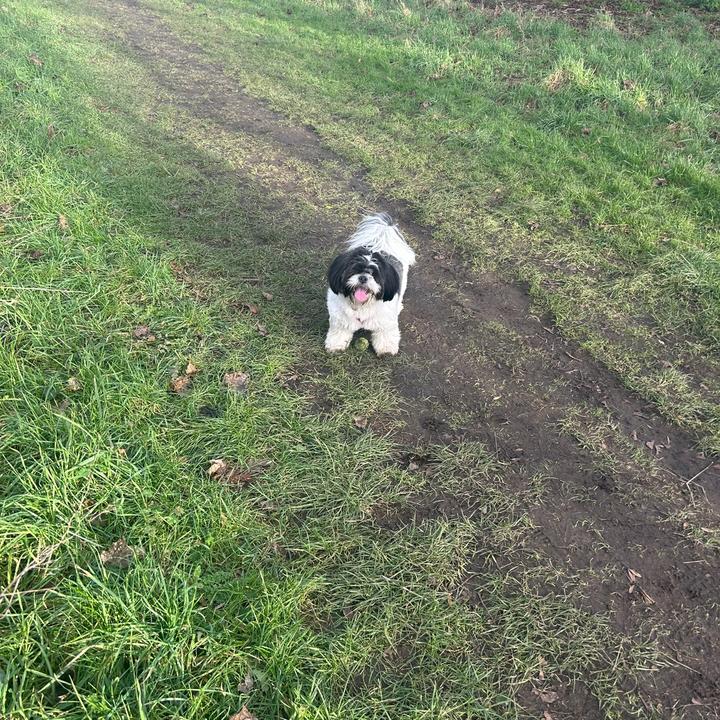 Maggie - Mays madness