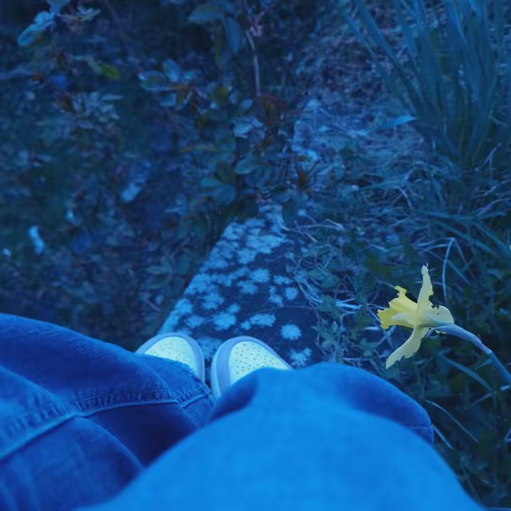 w̴h̴o̴i̴s̴t̴h̴i̴s̴d̴e̴v̴a̴