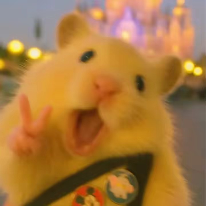 Hắc Nguyệt Quang🌚