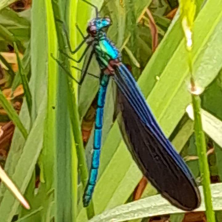 LULU-BERLU😎TEAM ONE🌴