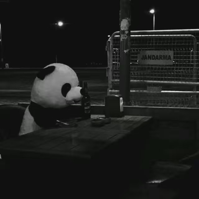 ↩☆🐼⁂🐼✩⃠↩