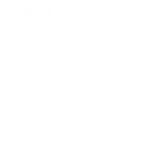 Wenzhou Wenhao shoes Co., LTD