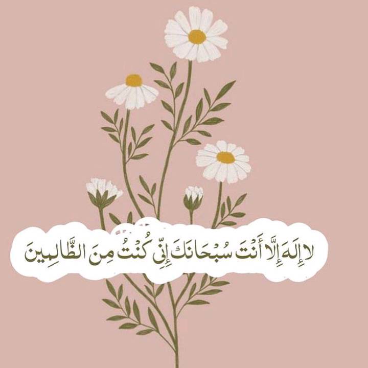 msulwa🆙🔭💼🅾️