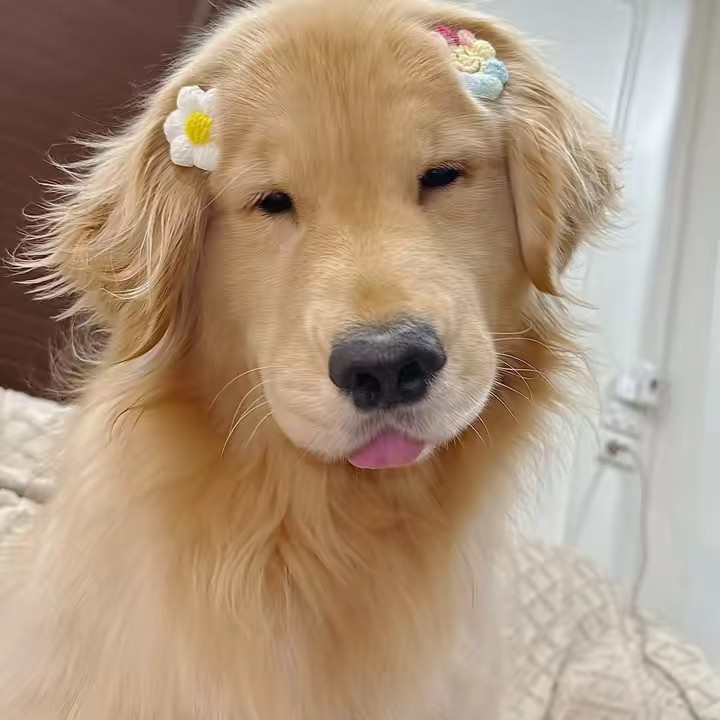 รีวิวของดีบอกต่อ