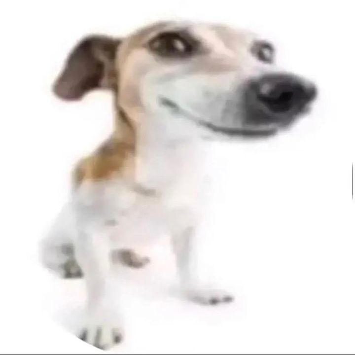 krogeristhegoodstore