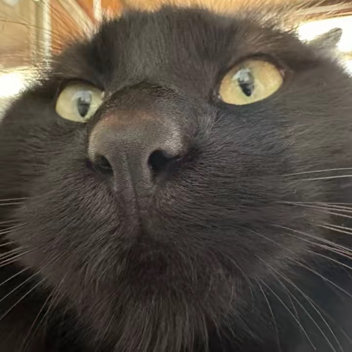 🤍えりこ-ER1KO🤍