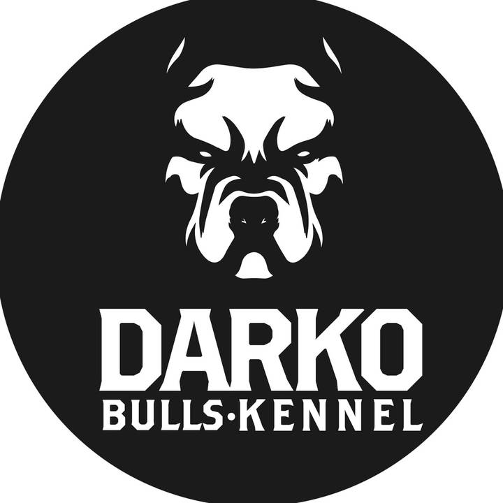 DarkoBulls
