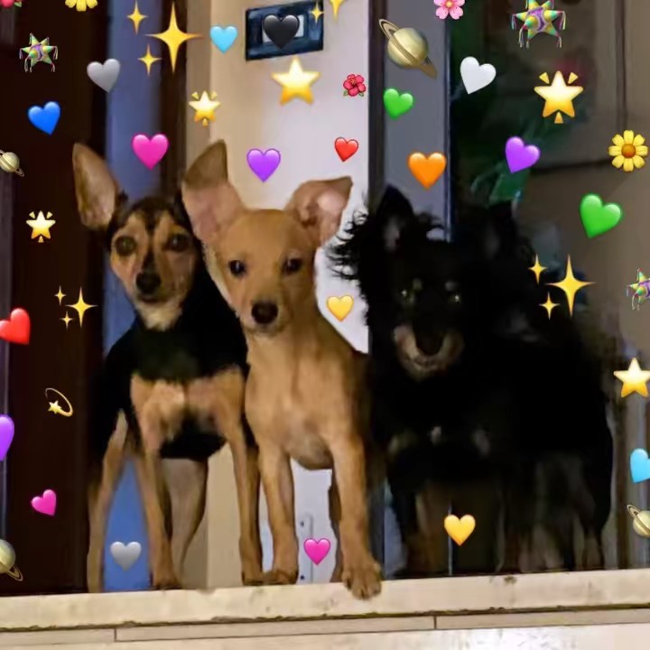 Reira 🦋 Nike 🐦‍🔥 Blume