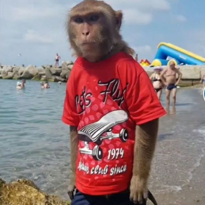 Опер упалномоченный