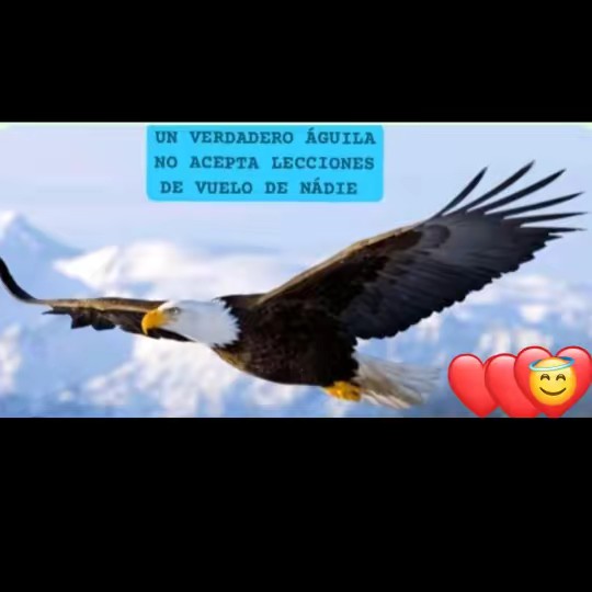 🦅ÁGUILAGUERRERA🥷AMOR❤️YMIEL