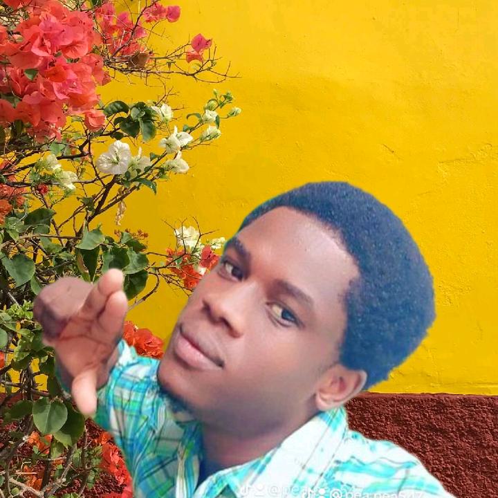 Pè maboul et bwasougrenn