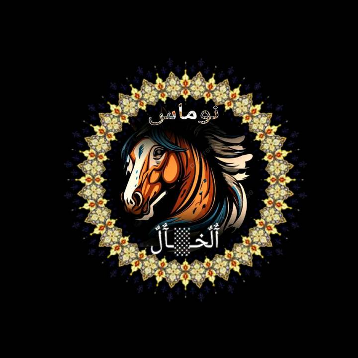 علاء العساني