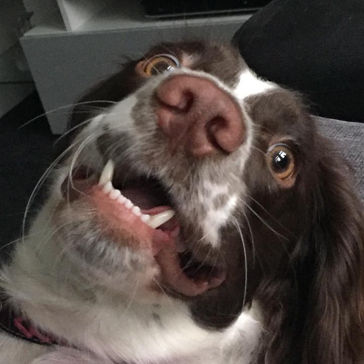 🍉💚Courtney__1998💚🍉