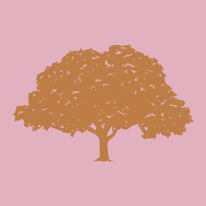 Tree Hut