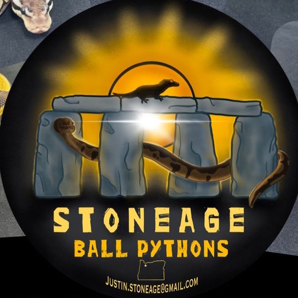 StoneAge Ball Python