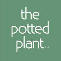 The Potted Plant