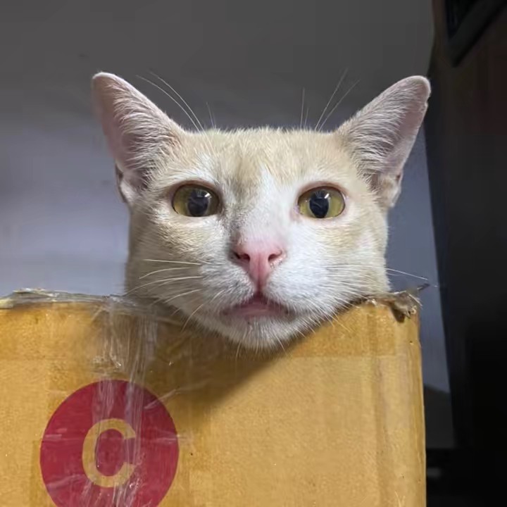 โพลารอยด์ กรอบรูป